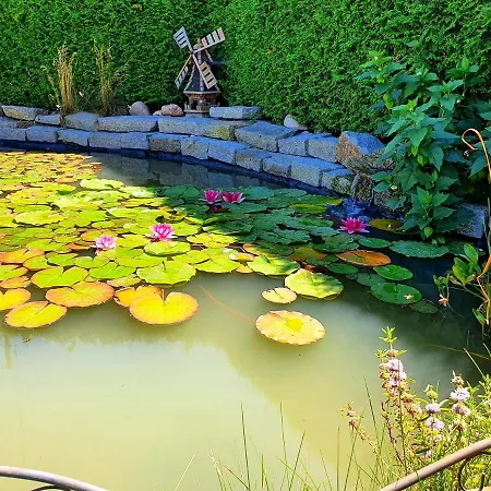 Xxl Lausitz Direkt * Radibor