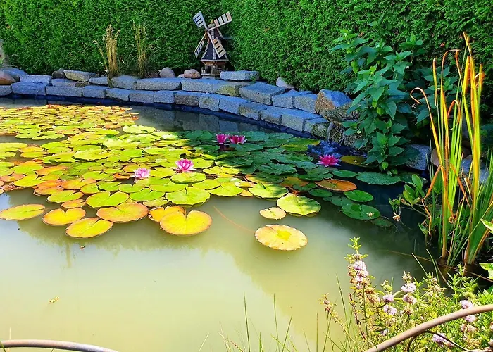 Xxl Lausitz Direkt * Radibor